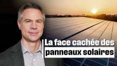 Panneaux solaires : “On peut nous couper le courant à distance”, alerte Michael Shellenberger