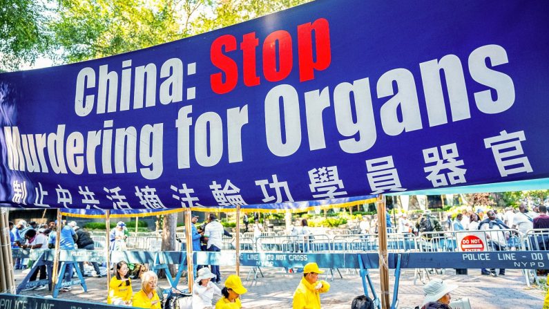 Une banderole appelant à la fin des prélèvements forcés d'organes sur les pratiquants de Falun Gong en Chine est déployée pendant que les pratiquants démontrent la méditation de la pratique spirituelle, à côté des Nations Unies à New York, le 20 septembre 2023. (Chung I Ho/Epoch Times)