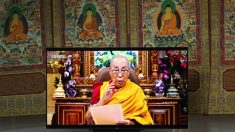 Le Dalaï Lama défie Pékin en préparant sa succession