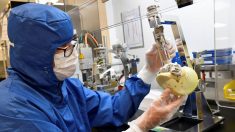 La firme Carmat, pionnière du cœur artificiel, placée en redressement judiciaire