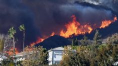 La Californie en flammes : plus de 28 300 hectares partis en fumée dans le plus gros incendie de l’année