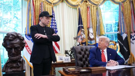 Donald Trump suggère au DOGE d’examiner les subventions accordées aux entreprises d’Elon Musk