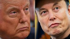 Donald Trump tacle Elon Musk sur le montant des subventions qu’il touche