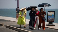 Le Portugal étouffe sous 46,6°C : un record qui fait craindre des incendies