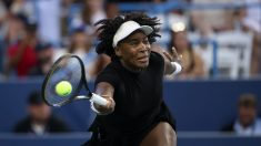 Tennis : Venus Williams s’est sèchement inclinée en 8e de finale à Washington