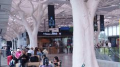 Gare de Nantes : la verrière à 37 millions d’euros incapable de résister à la chaleur