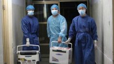Bioéthique : la France ferme-t-elle les yeux sur les trafics d’organes ?