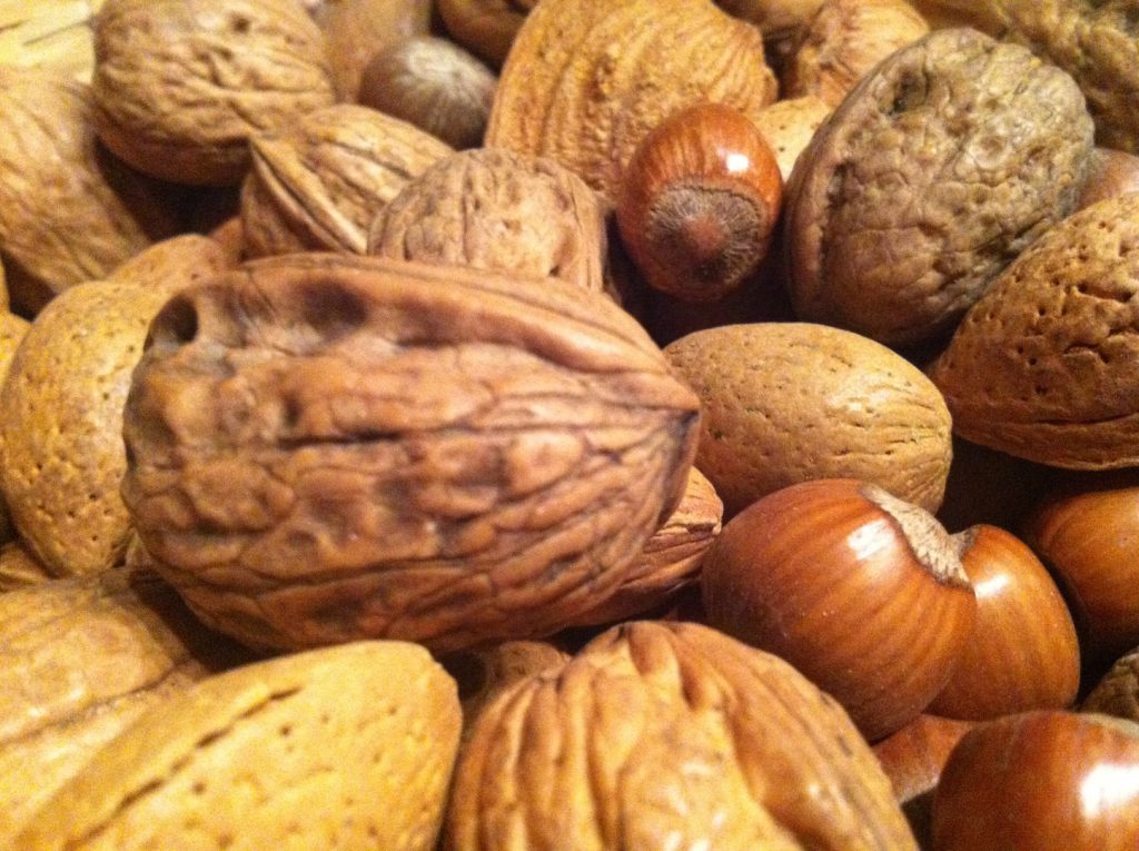 Les noix sont une bonne source de matières grasses et de protéines d’origine végétale. (Wen95 via Wikimedia Commons)